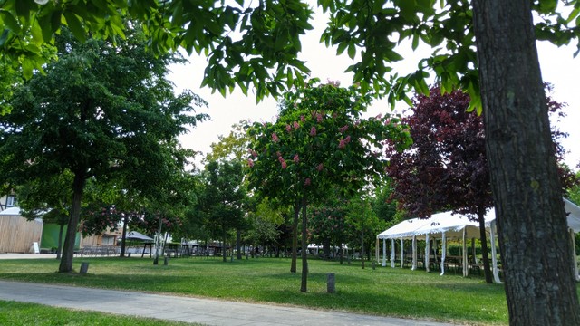 Bürgerpark Wernigerode mit Bäumen und vielen Sitzgelegenheiten