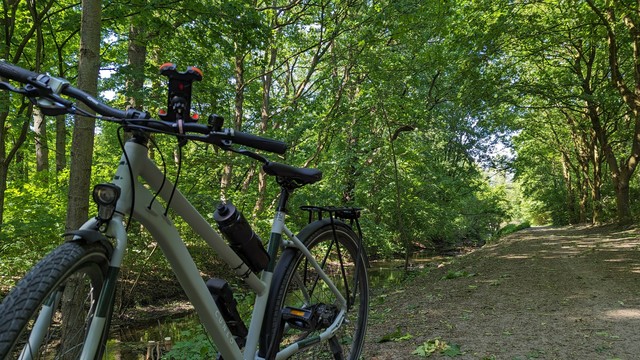 Foto Waldweg. Unter dem Blätterwald, links im Bild die Wandse. Im Vordergrund steht ein nebelgraues Fahrrad.