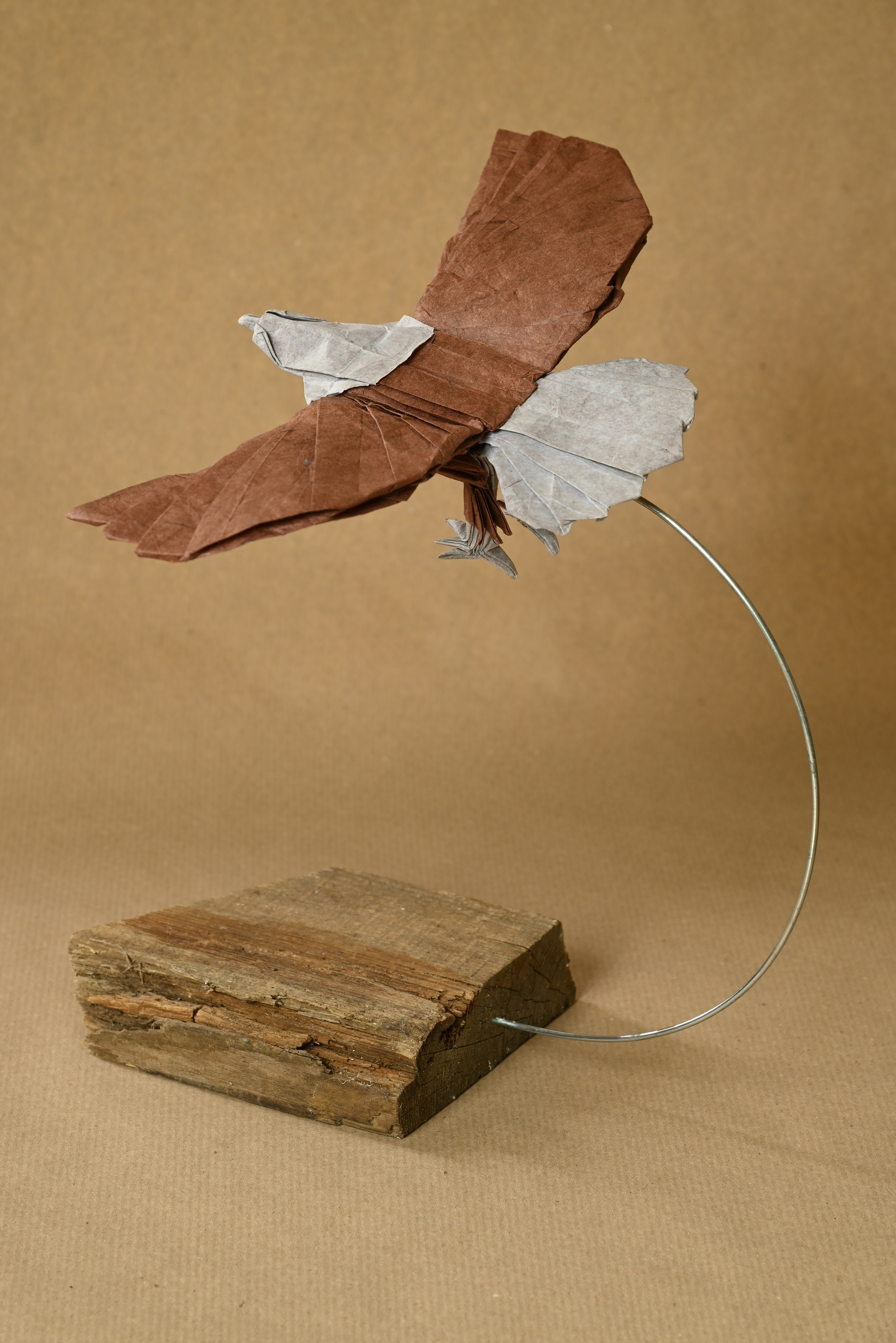 Origami Eagle held by a wire above an old an worn piece of wood