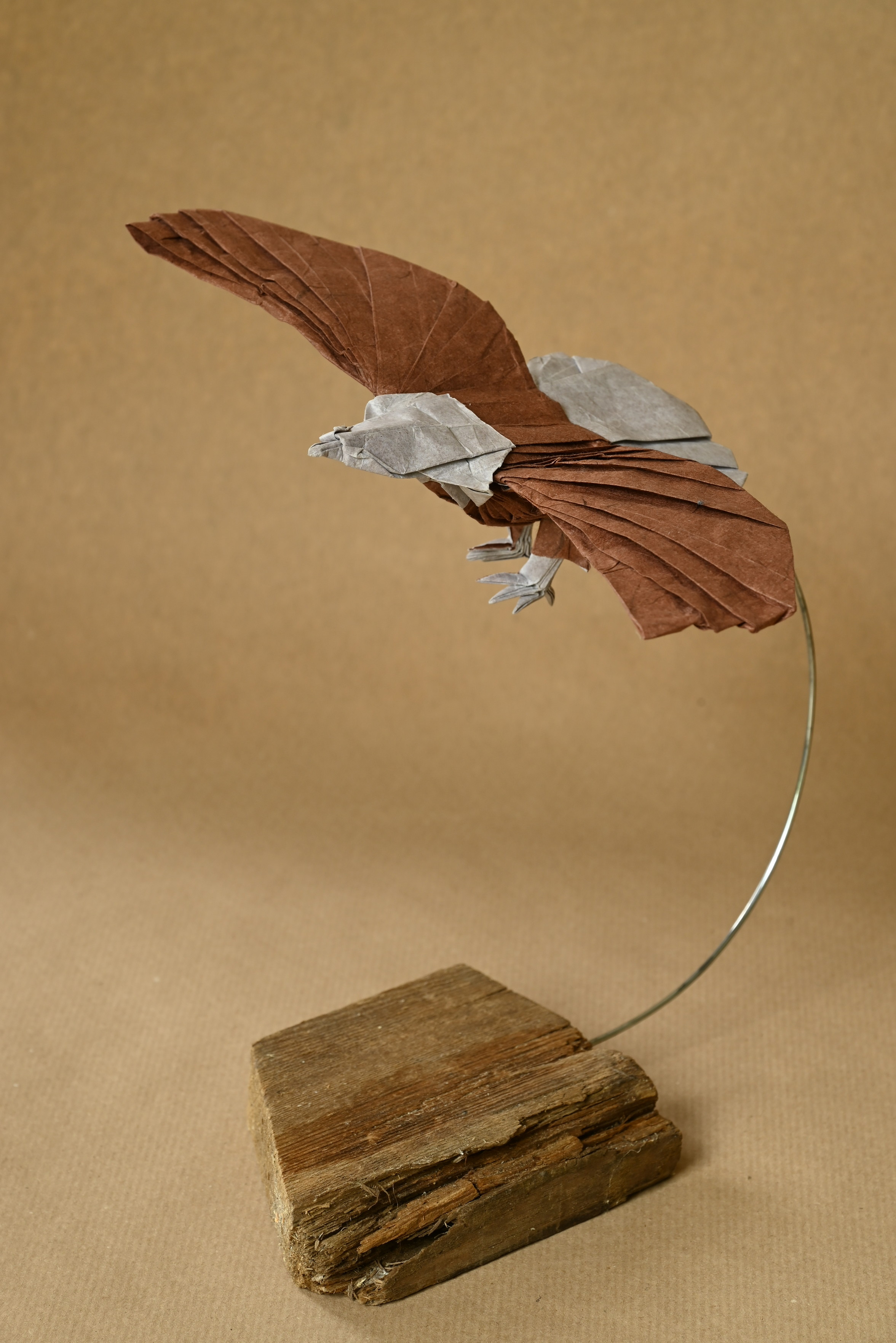 Origami Eagle held by a wire above an old an worn piece of wood, seen from a high viewpoint