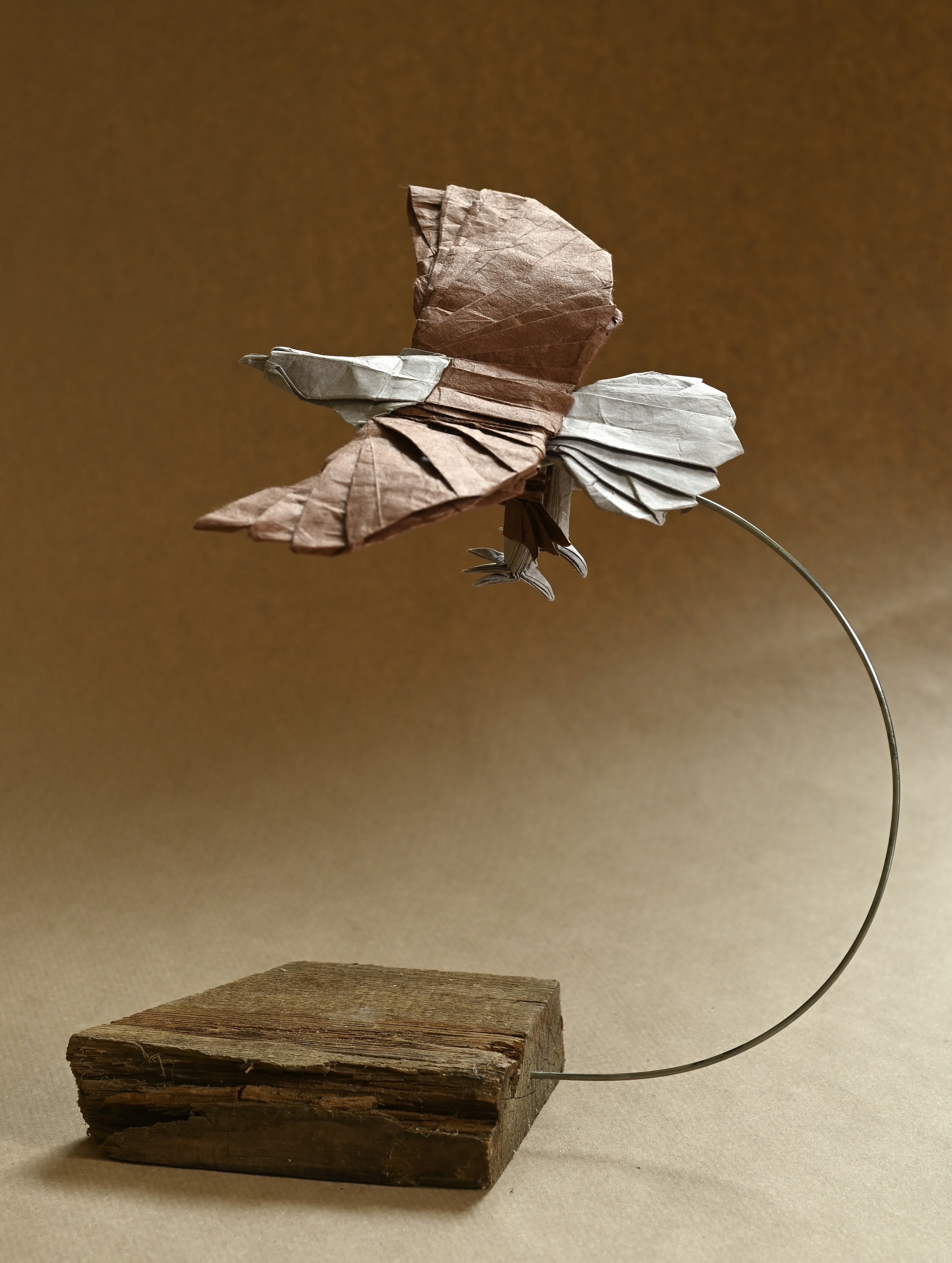 Origami Eagle held by a wire above an old an worn piece of wood, seen in front of a dark background 