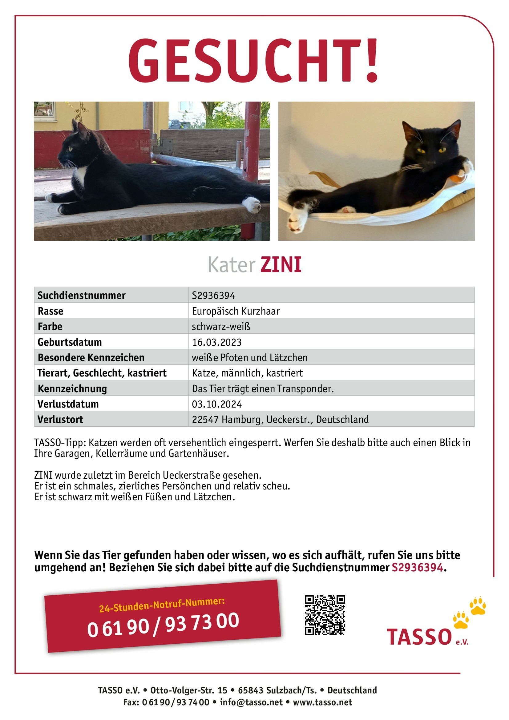 Ein Tasso suchplakat Das Dokument ist eine Vermisstenanzeige für die Katze ZINI mit Informationen zu seinem Aussehen, Verlustdatum und -ort sowie einem Tipp zur Suche in der Umgebung.